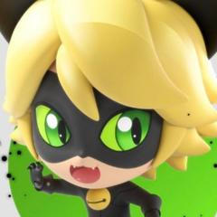 Chat Noir