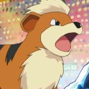 Growlithe